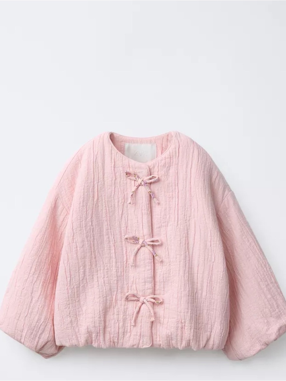 NWT Zara Pink Jacket